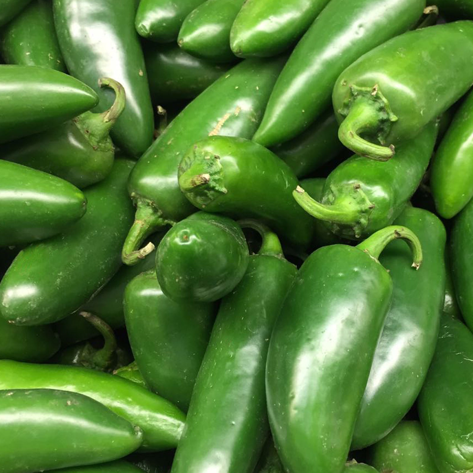 Jalapeño rojo o verde